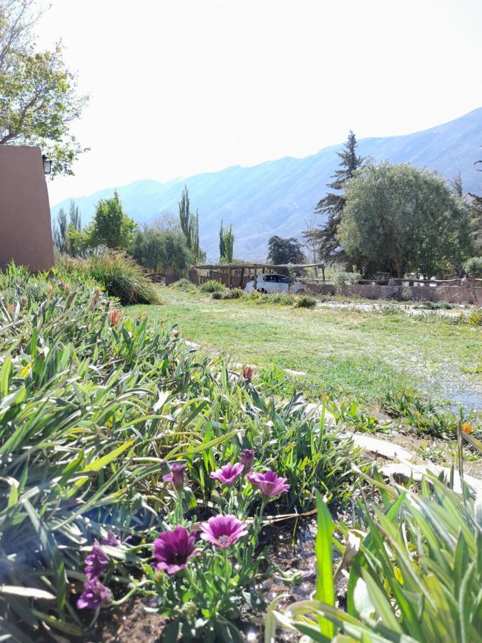 Alta Montana Cabanas Hotel Tilcara Luaran gambar